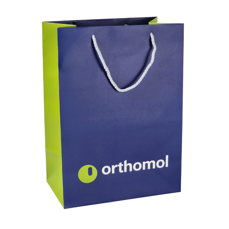 Custom Pantone Color Logo Printing Paper Shipping Gift Bag