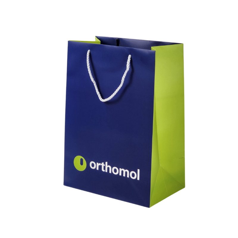 Custom Pantone Color Logo Printing Paper Shipping Gift Bag