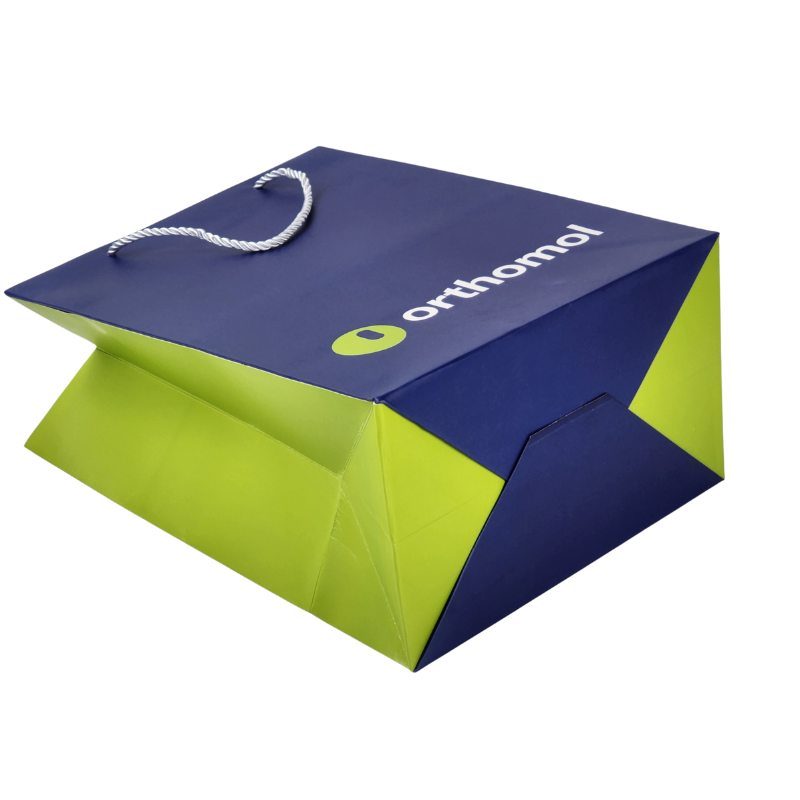 Custom Pantone Color Logo Printing Paper Shipping Gift Bag