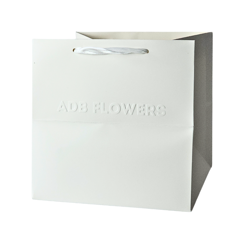 Custom White Embossed Logo Paper Bag