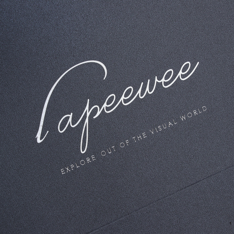 OEM Luxury Sliver Foil Stamping Paper Shopping Bag